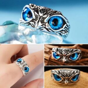 Modern Sterling Silver Oxidized Eagle Blue Eyes Attractive Eye Ring for Boy & Girl (Adjustable) Pack of 2 Pcs