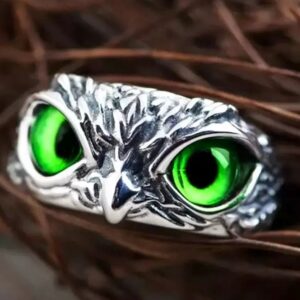 Modern Sterling Silver Oxidized Eagle Green Eyes Attractive Eye Ring for Boy & Girl (Adjustable) Pack of 2 Pcs (Copy)