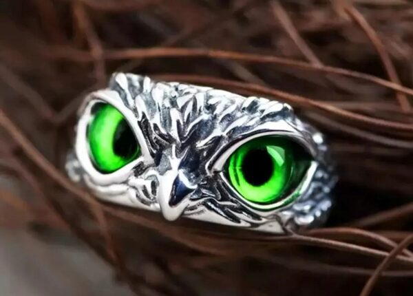 Modern Sterling Silver Oxidized Eagle Green Eyes Attractive Eye Ring for Boy & Girl (Adjustable) Pack of 2 Pcs (Copy)